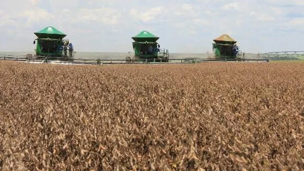 Governo e agro divergem sobre dívidas rurais