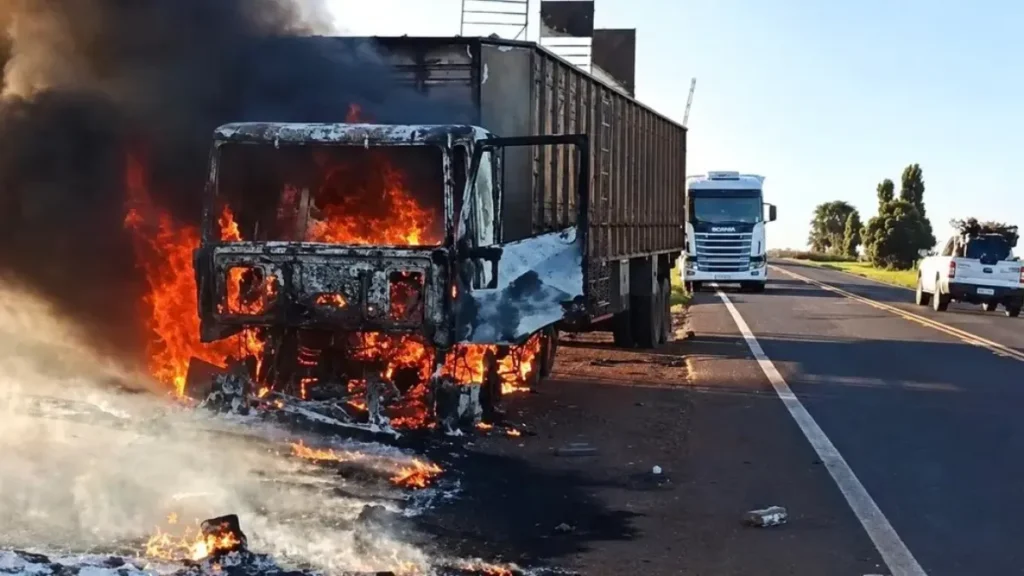 Incêndio em carreta solta bois na MS-395 entre Anaurilândia e Bataguassu