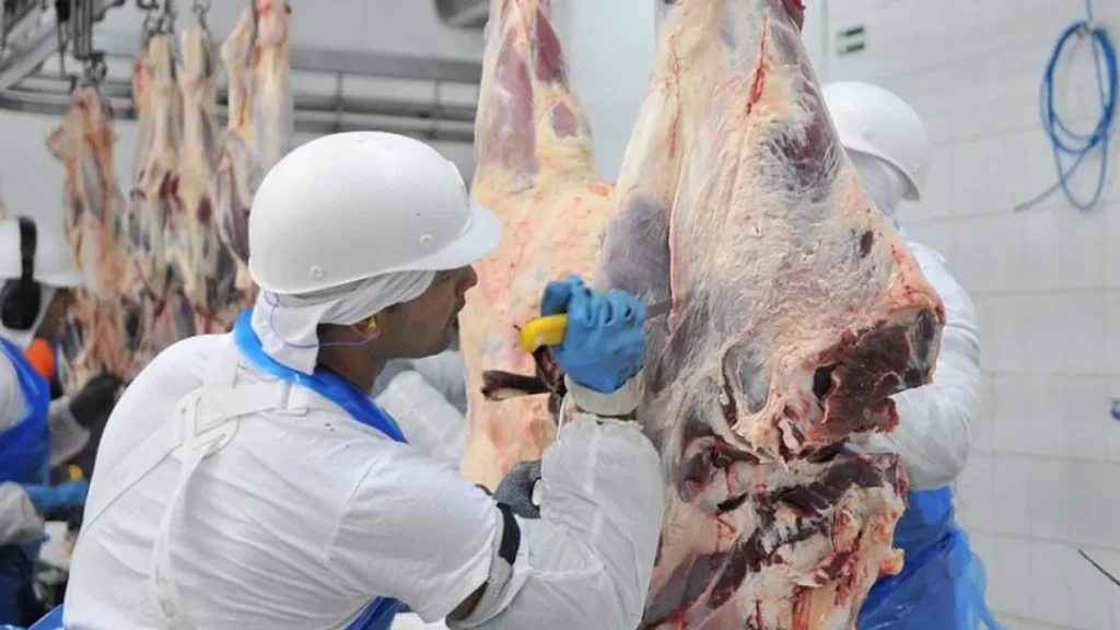 Frigoríficos de MS batem recorde histórico de produção e exportação