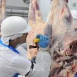 Frigoríficos de MS batem recorde histórico de produção e exportação