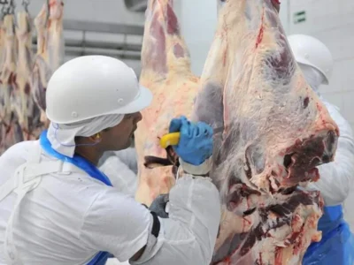 Frigoríficos de MS batem recorde histórico de produção e exportação
