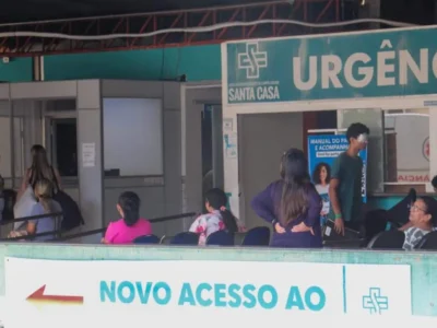 Leilão com 1.500 animais ajuda Santa Casa a concluir reforma