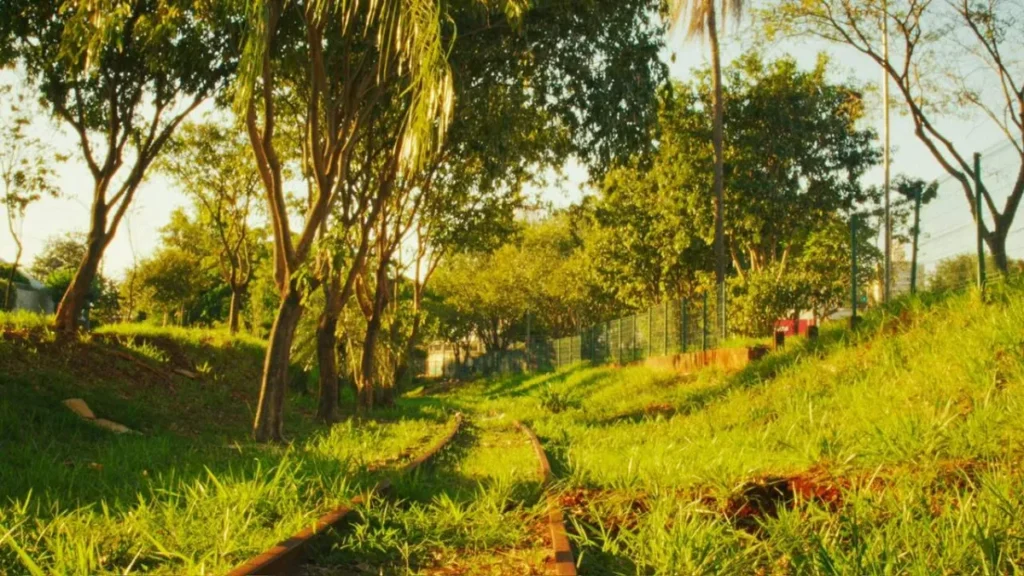 Lente de cinema transforma cotidiano em nostalgia