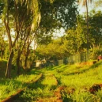 Lente de cinema transforma cotidiano em nostalgia